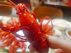 -红钳侠小龙虾·烧烤(中赢康康谷店)