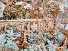 -北马山庄植趣咖啡