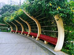 -龙头寺公园