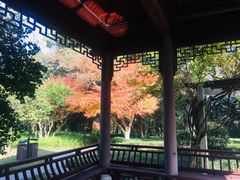 -东航云逸酒店(九溪烟树店)