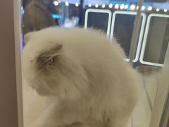 -太原茂业天地购物中心