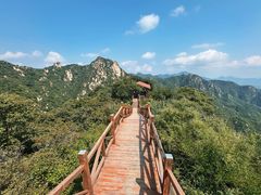 -大岭沟猕猴桃谷风景区