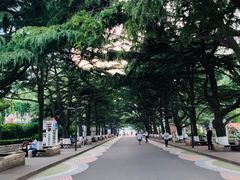 -贮水山儿童公园