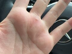 -棕榈泉国际高尔夫学院