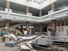 -自贡恐龙博物馆