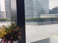 -凤凰湘语(浦东旗舰店)
