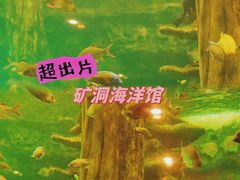 -长鹿旅游休博园