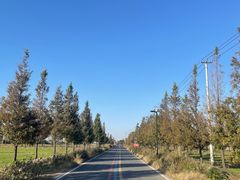 -莲花岛景区