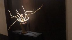 -盘子女人坊古装写真摄影(天津总店)