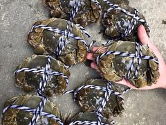 -乡乐园蟹庄·阳澄湖农家乐