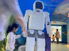 -烟台海昌鲸鲨海洋公园