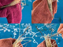 -SHRIMP CLUB万东餐饮钓虾·清吧