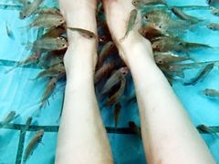 -天山海世界·米立方
