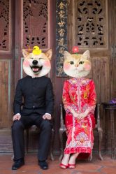 -绿皮火车照相馆 婚纱照旅拍(厦门店)