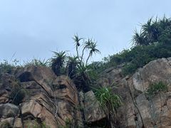 -南丫岛