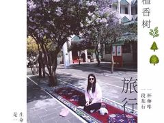 -西宁市东关清真大寺