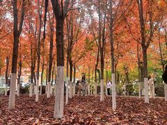 -辽宁大学(崇山校区)