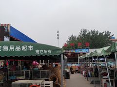 -中环花鸟鱼虫市场