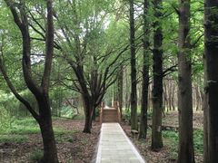 -同里国家湿地公园