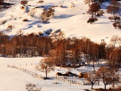 -塞罕坝国家级自然保护区