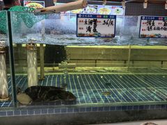 -登瀛楼饭庄(领世郡店)