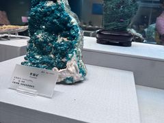 -湖南省地质博物馆