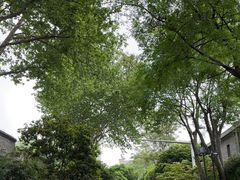 -毛泽东同志旧居