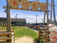 -前小桔亲子创意农场·草莓采摘·露营烧烤