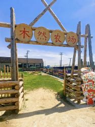 -前小桔亲子创意农场·草莓采摘·露营烧烤