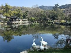 -杭州雅谷泉山庄酒店-餐厅