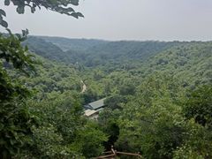 -大青沟风景区