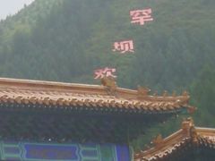 -塞罕坝国家级自然保护区