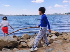 -丁香湖公园