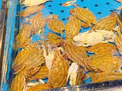 -川骄海鲜自助(河东店)