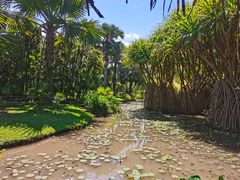 -中国科学院西双版纳热带植物园