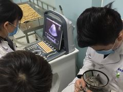 -中农大我爱我爱24h动物医院·中医针灸·猫专科·骨科医疗中心(双井店)