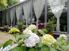 -凤来栖·净庭院·火锅(欧尚店)