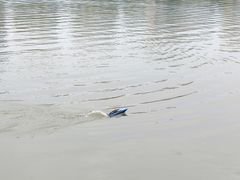 -五环公园
