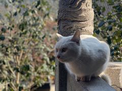 -杭州上天竺法喜讲寺