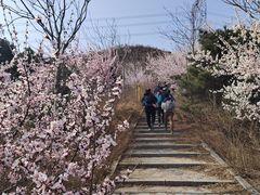 -妙峰山风景名胜区