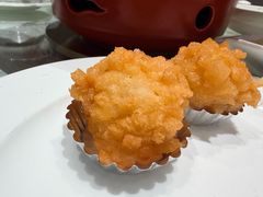-丁老爷子苏香圆