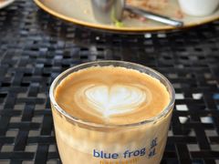 -bluefrog蓝蛙(皇庭广场店)