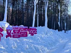 -洛阳白云山景区