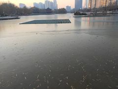 -雁滩公园