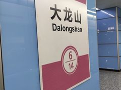-大龙山(地铁站)