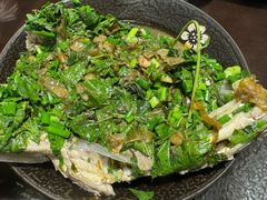 -马村鱼头