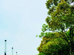 -金鸡湖景区