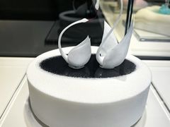 -BLACKSWAN黑天鹅(环球店)