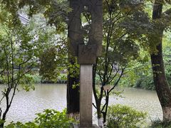 -杭州花家山庄