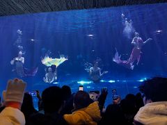 -华夏文旅海洋公园